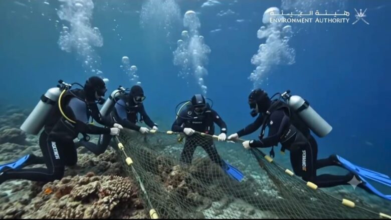 Divers clean coral reefs